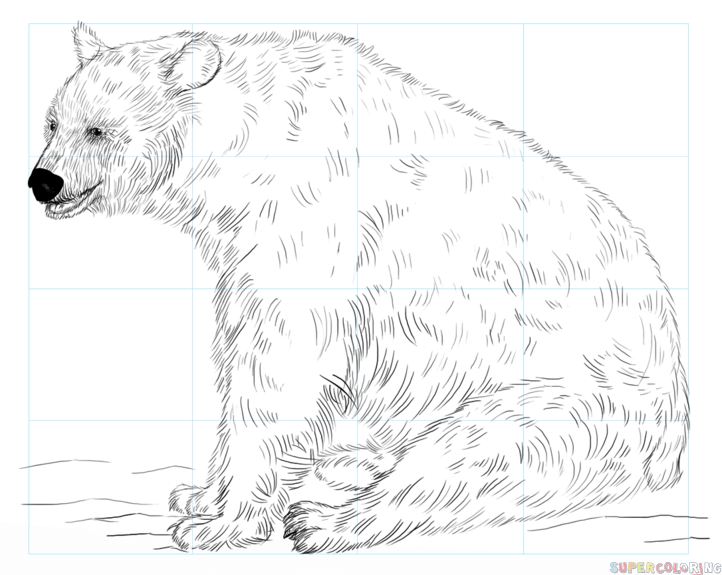 722x575 How To Draw A Black Bear Step By Step Drawing Tutorials