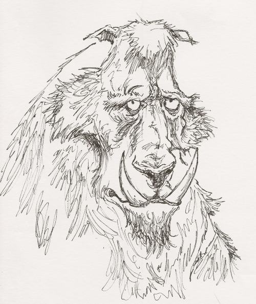 500x594 Bander Bear Tumblr