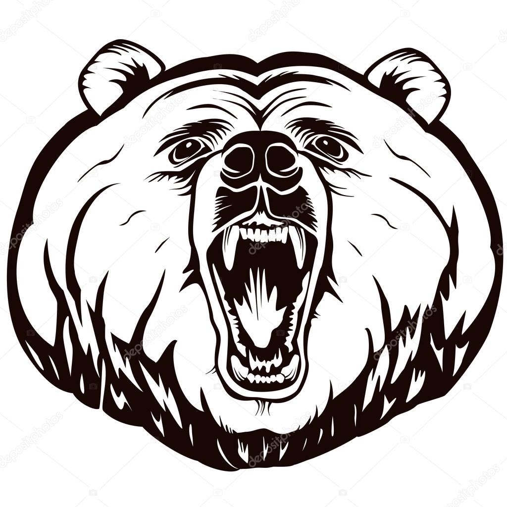 1024x1024 Bear Face Angry Logo White Stock Vector Lioriki