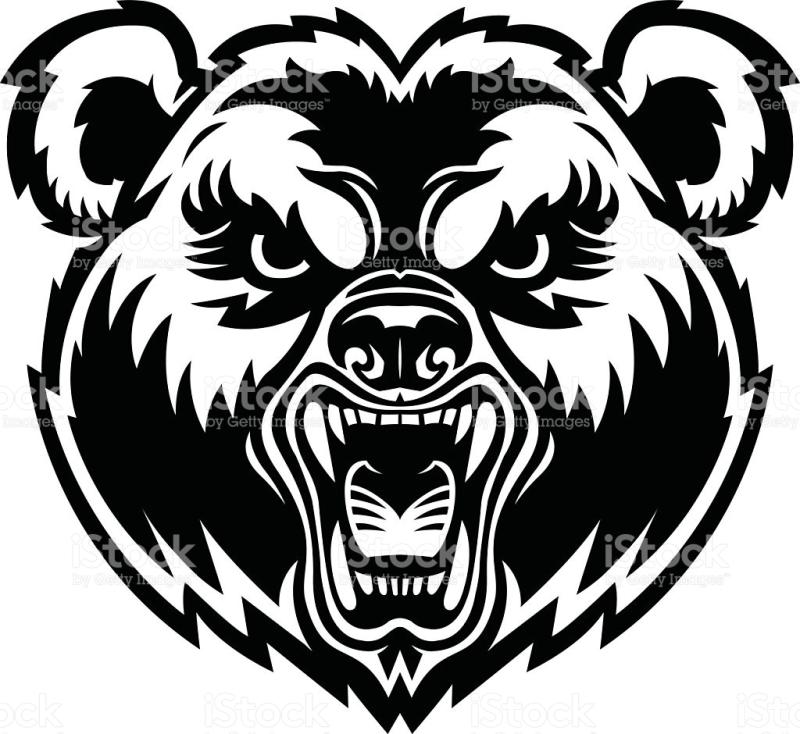800x734 Bear Face Clipart