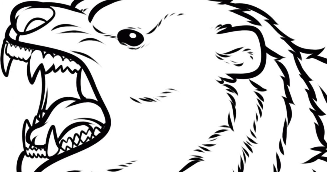 1113x585 Bear Face Drawing Wallpapers Background