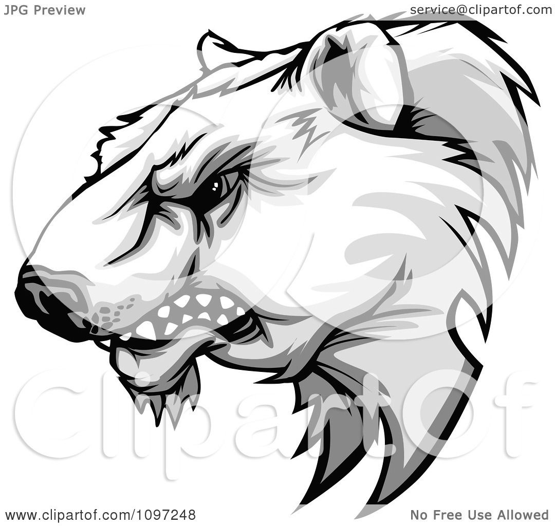 1080x1024 Clipart Aggressive Polar Bear Mascot Head Growling