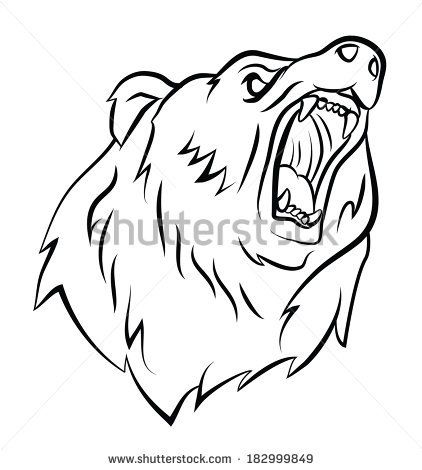 422x470 14 Best Bear Images On Photo Art, Stock Photos