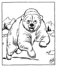 Bear Growling Drawing at GetDrawings | Free download