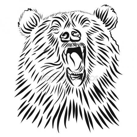450x450 Abstract Angry Bear Head Stock Vectors, Royalty Free Abstract