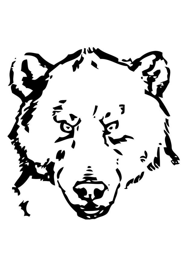 620x875 Coloring Page Bear's Head