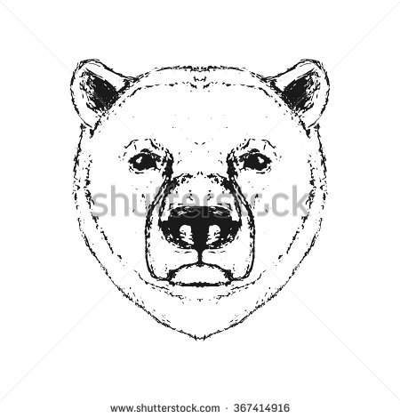 450x470 Image Result For Polar Bear Head Art Wall Outlines