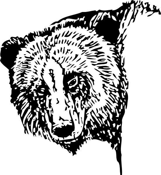 552x600 Bear Head Clip Art