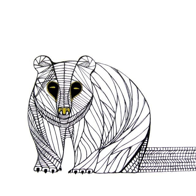 640x640 Bear Line Drawing Art By Thailan When