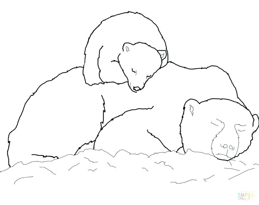 863x685 Polar Bear Coloring Pictures Teddy Bear Coloring Pages Free