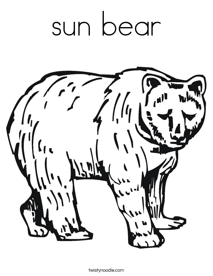 685x886 Sun Bear Clipart Outline