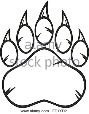 300x385 Black Bear Paw With Claws. Illustration Background And Text Stock