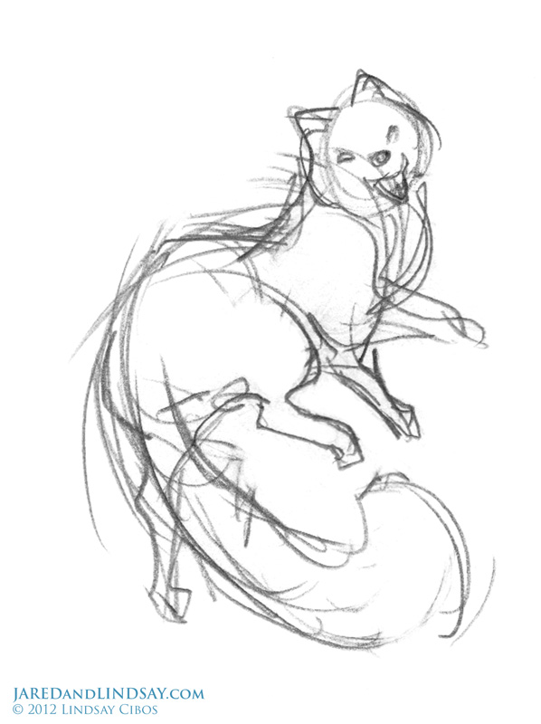 598x800 How To Draw An Arctic Fox The Last Of The Polar Bears Fotos E