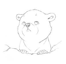 229x220 Image Result For Little Polar Bear Sketch Drawings In Pencil