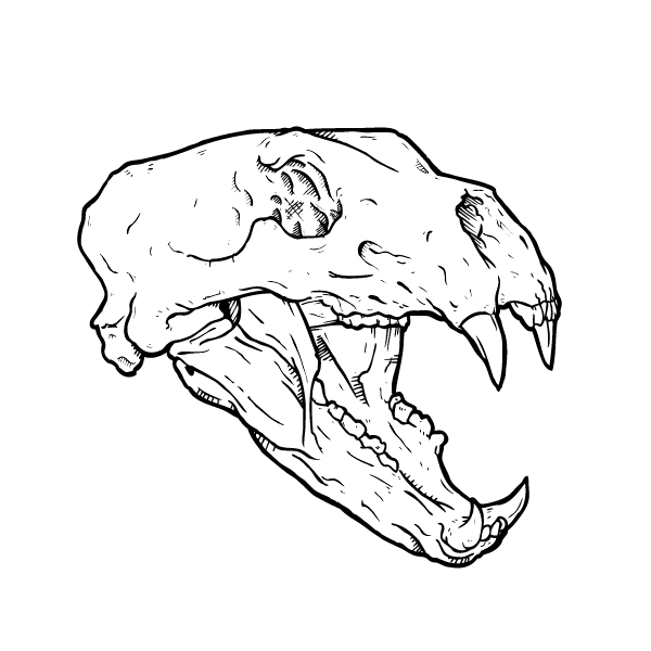 600x600 Illustration Maynerd Creative