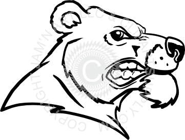 361x274 Bear Head Profile