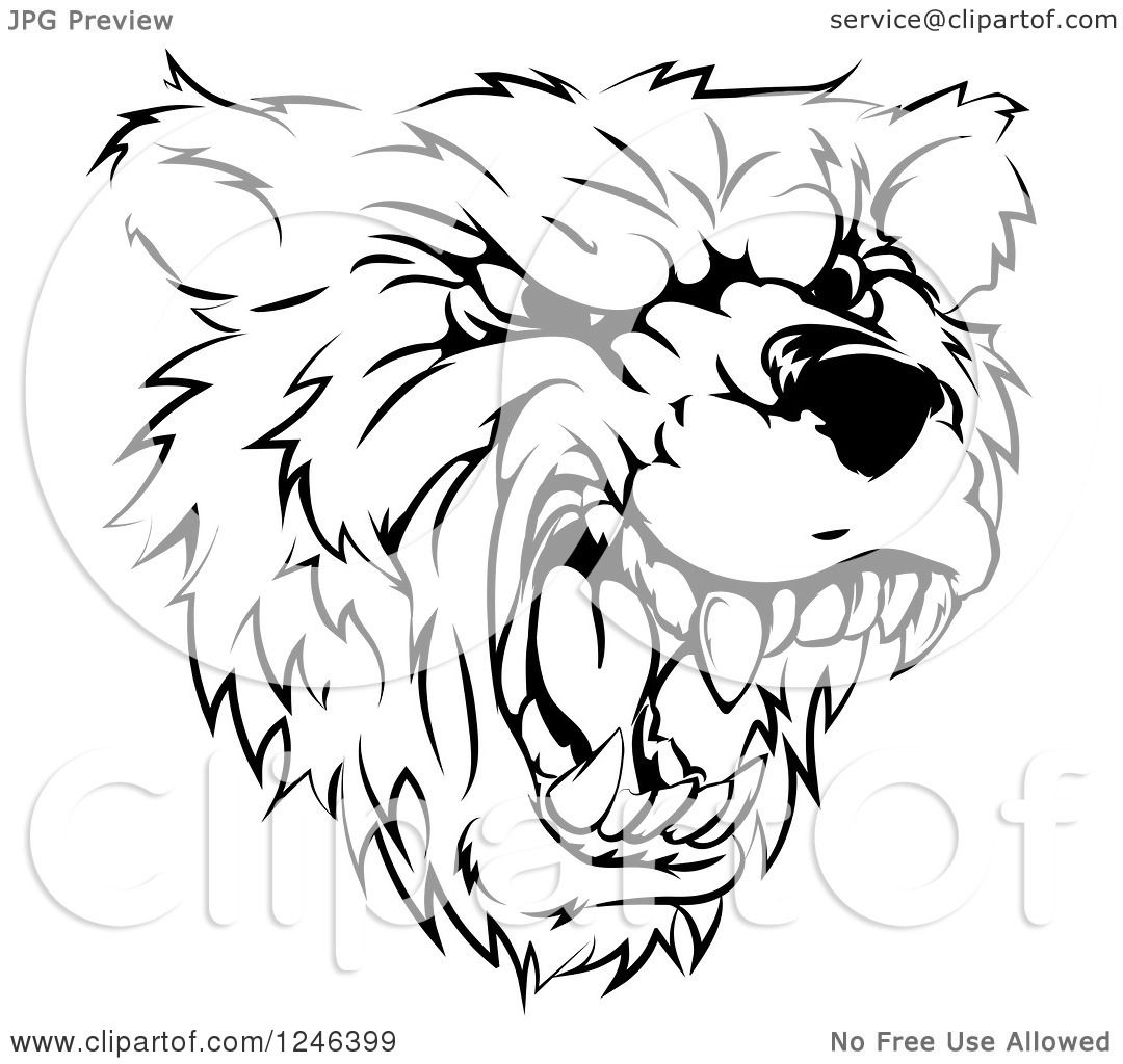 1080x1024 Clipart Of A Black And White Roaring Aggressive Bear Mascot Head