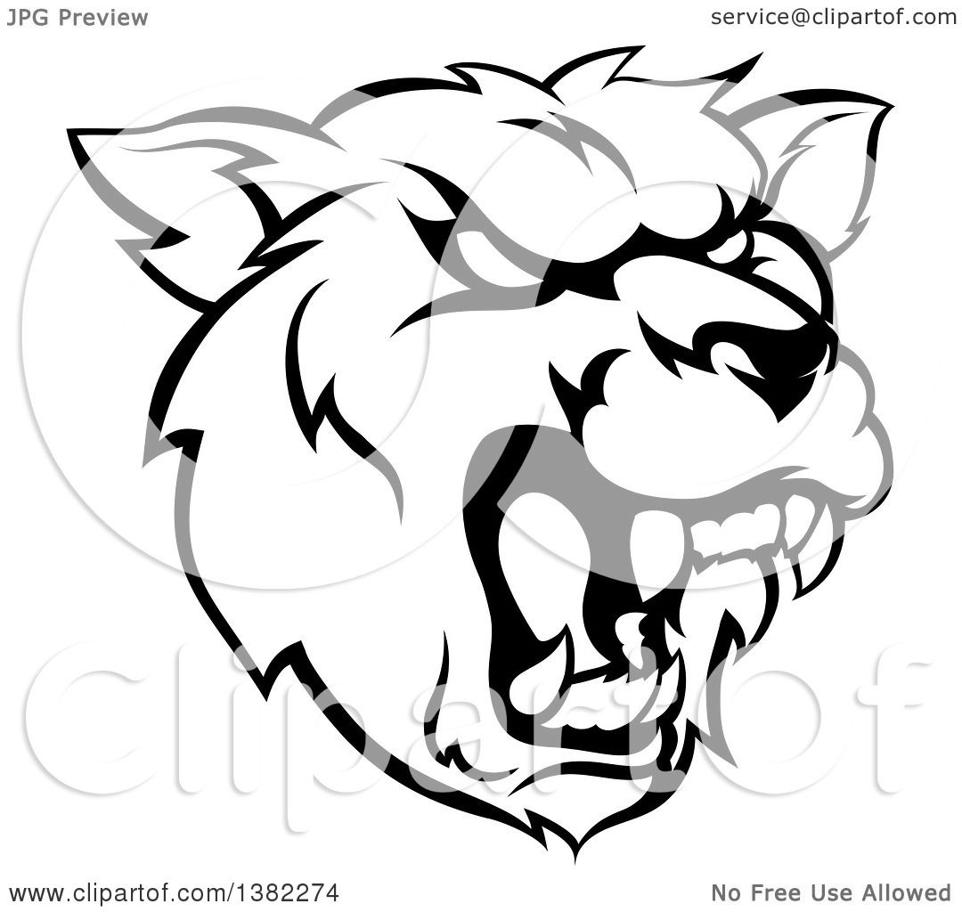 1080x1024 Clipart Of A Black And White Roaring Grizzly Bear Mascot Head