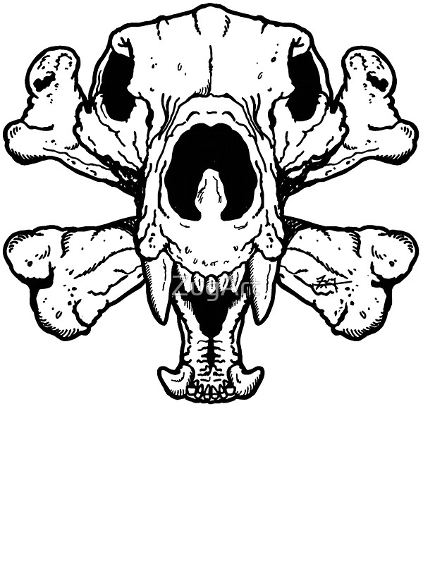 Bear Skull Drawing at GetDrawings | Free download