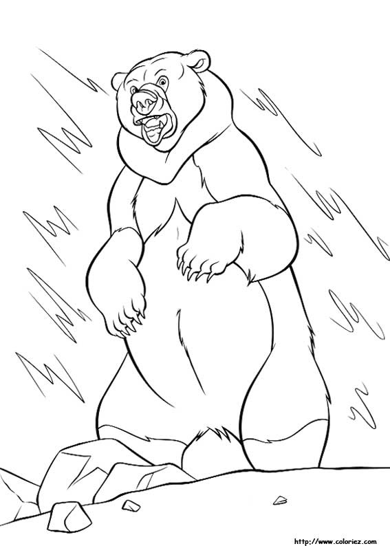 567x794 Coloring Pages Brother Bear