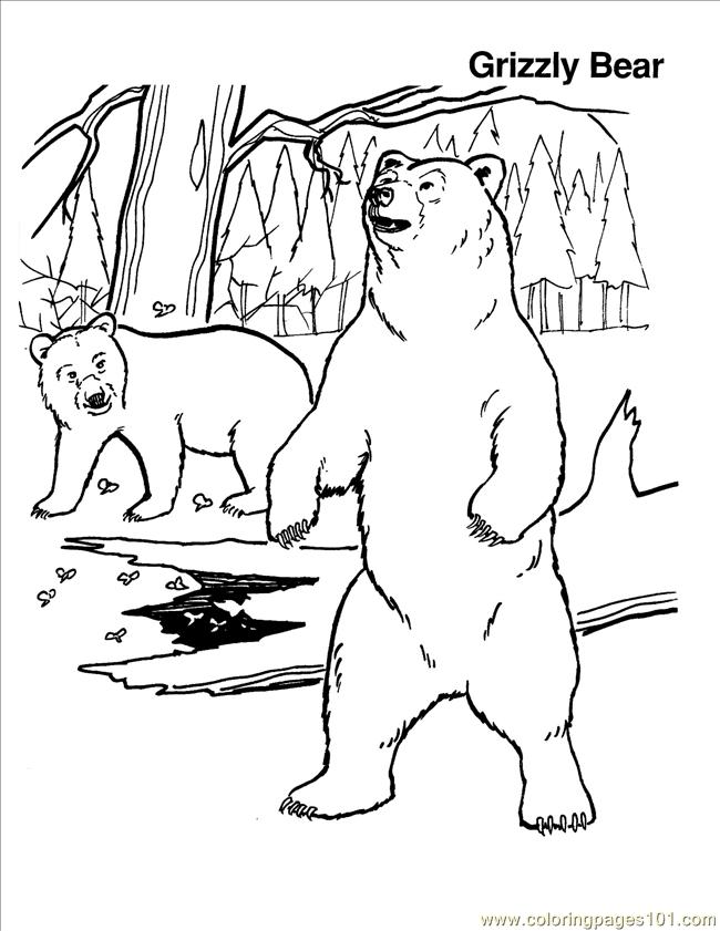 650x841 Grizzly Bear Coloring Pages