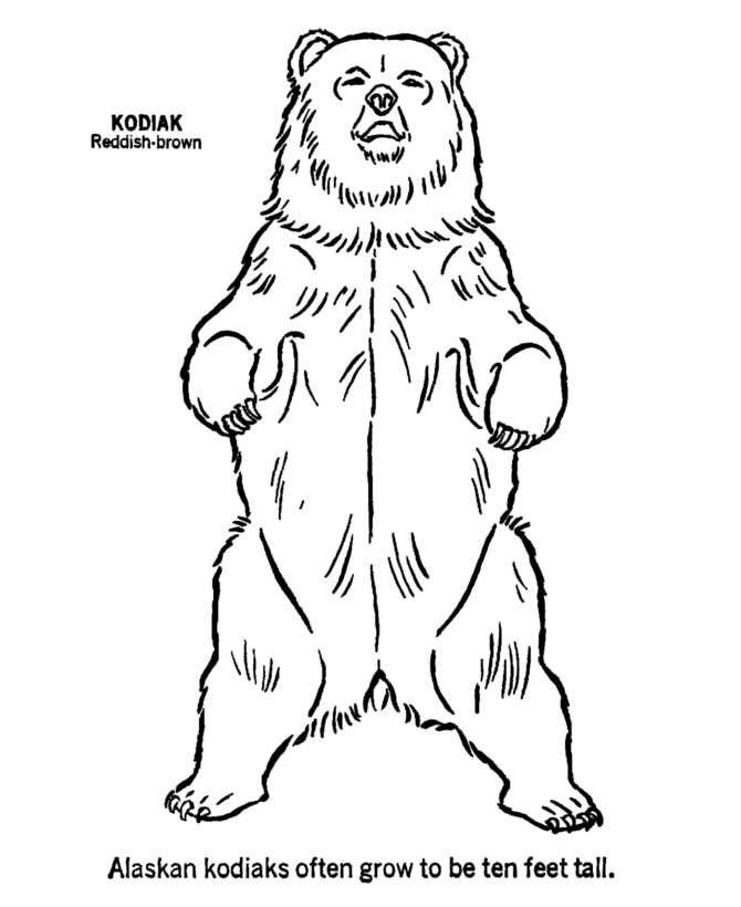 670x820 A Grizzly Bear Standing Up Coloring Page
