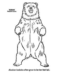 236x288 This Tutorial About Grizzly Bears Starts With Three Head Shots