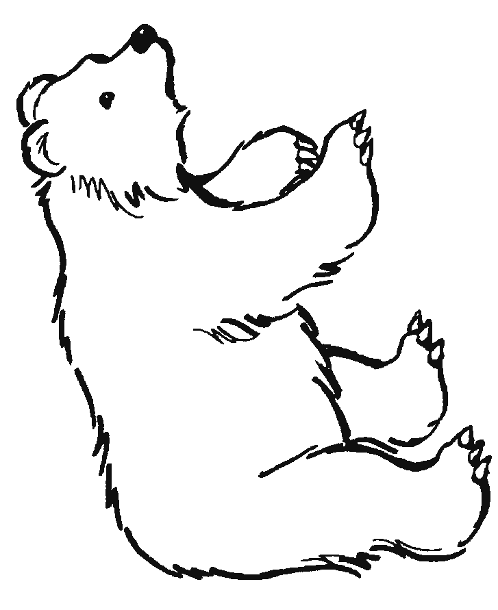 727x891 Bear Standing Up Drawing