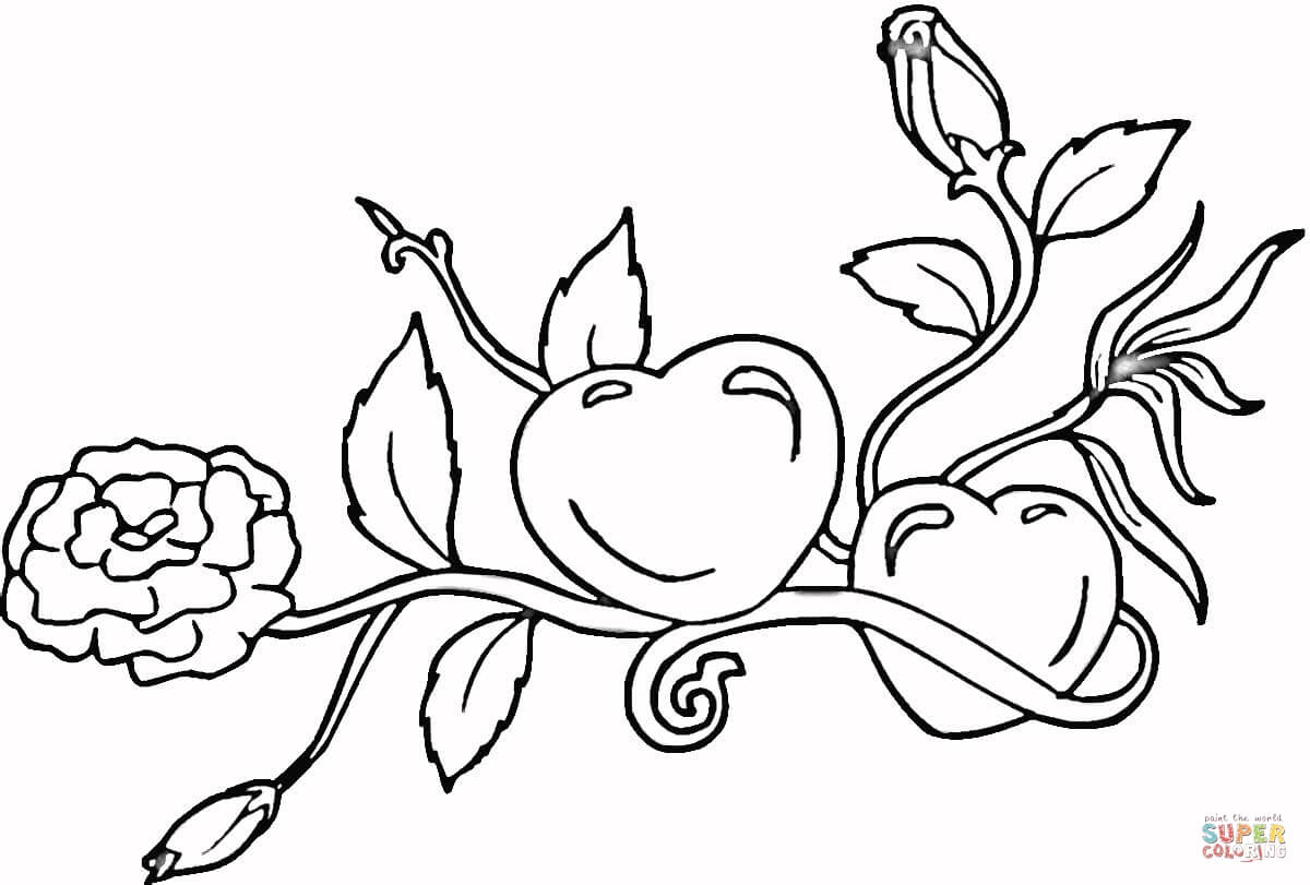 1200x811 Heart With Roses Coloring Pages