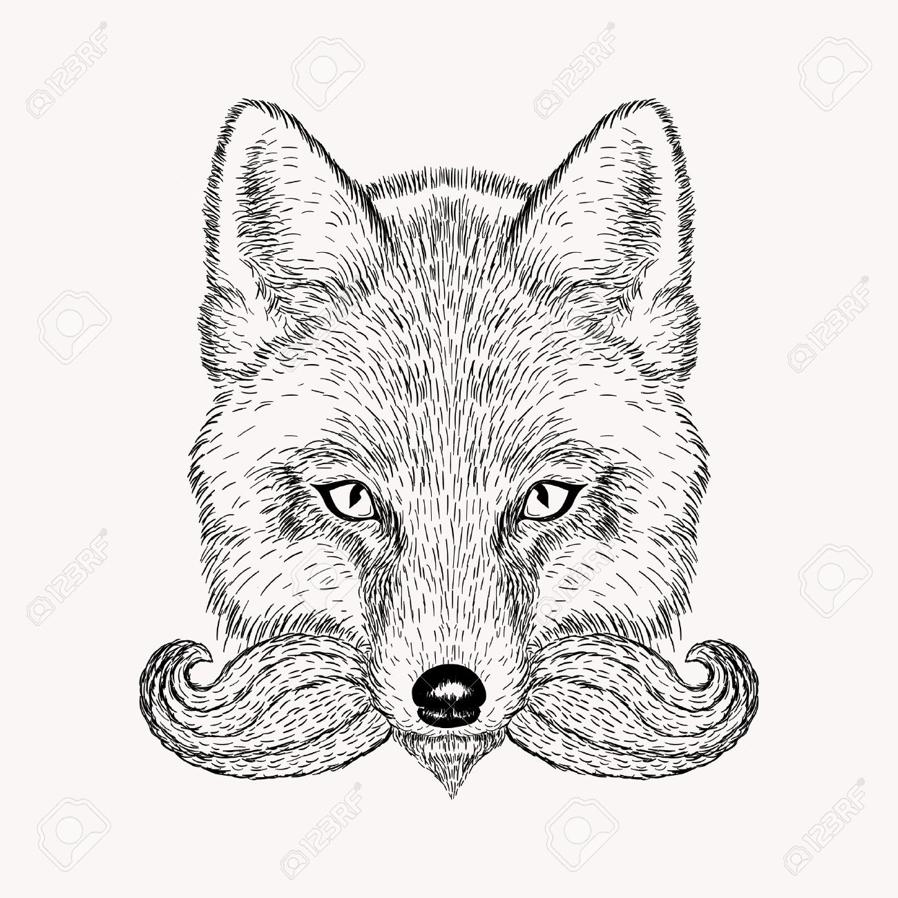 1300x1300 Sketch Fox With A Beard And Moustache. Hand Drawn Vector