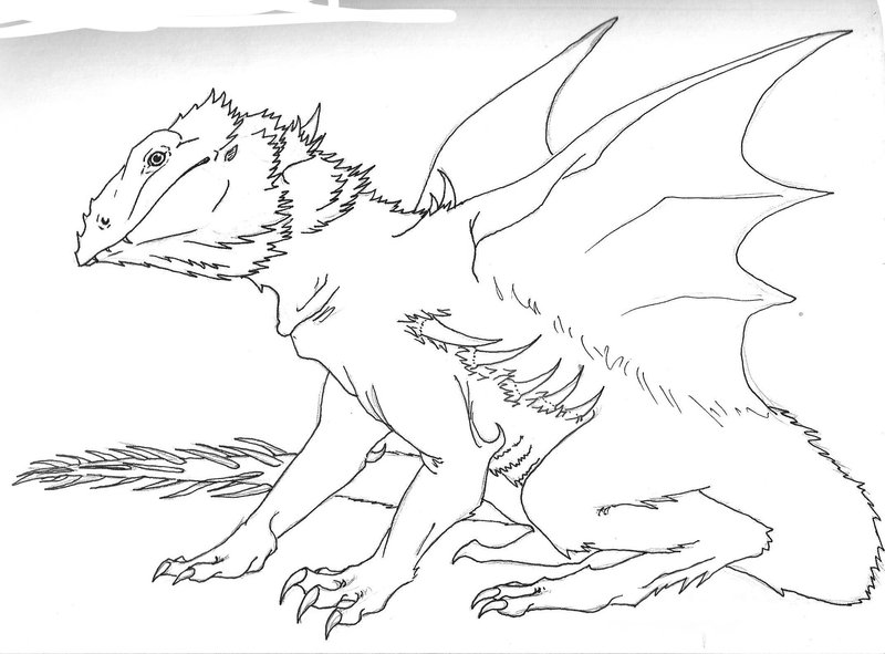 800x591 Bearded Dragon Tang By Khimera