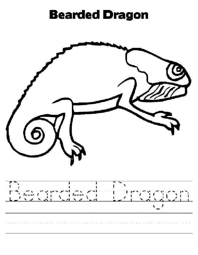 650x840 Bearded Dragon Coloring Page