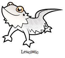 213x190 Archive Bearded Dragon