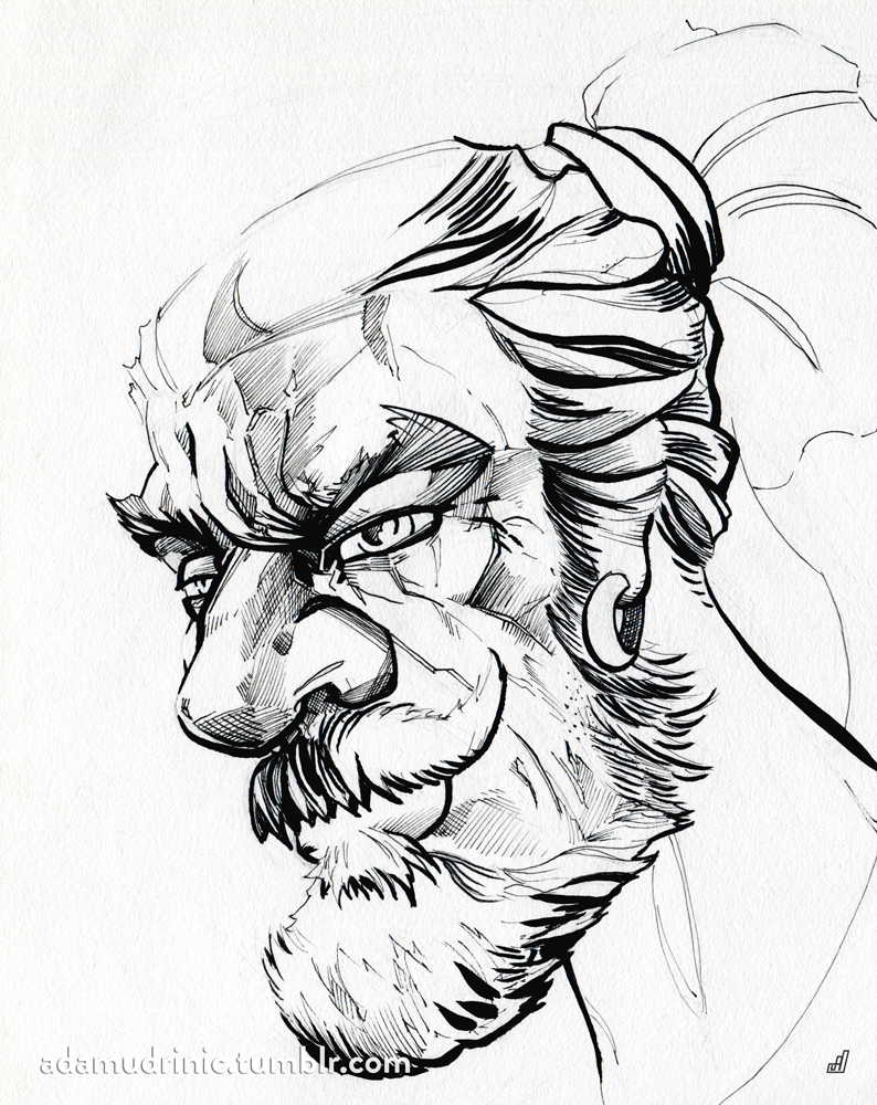 794x1000 Beard Man 2 Portrait By Admdart