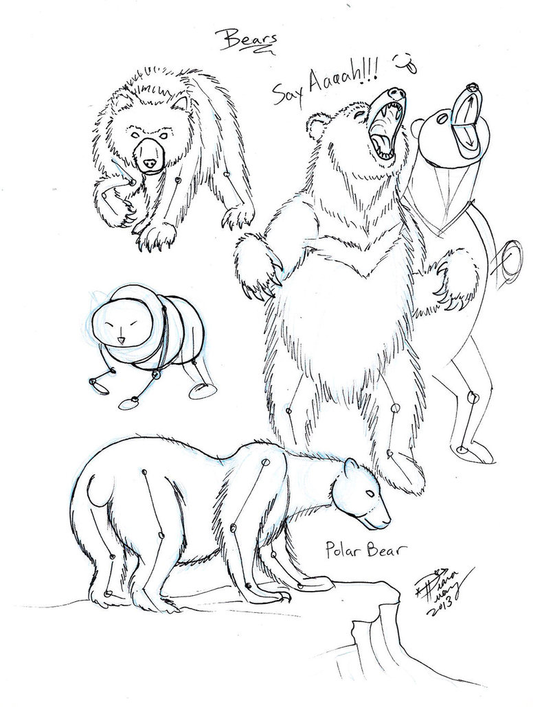 776x1030 Draw Bears By Diana Huang