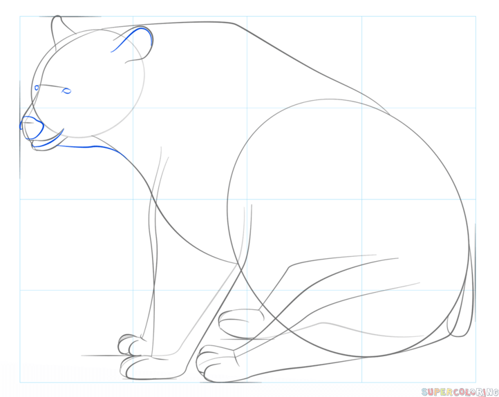 722x575 How To Draw A Black Bear Step By Step Drawing Tutorials