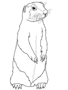 236x314 How To Draw A Polar Bear Step By Step. Drawing Tutorials For Kids