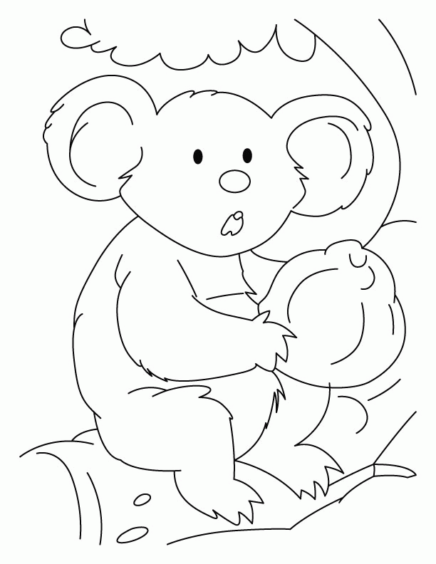 612x792 Koala Bear Coloring Page 421475