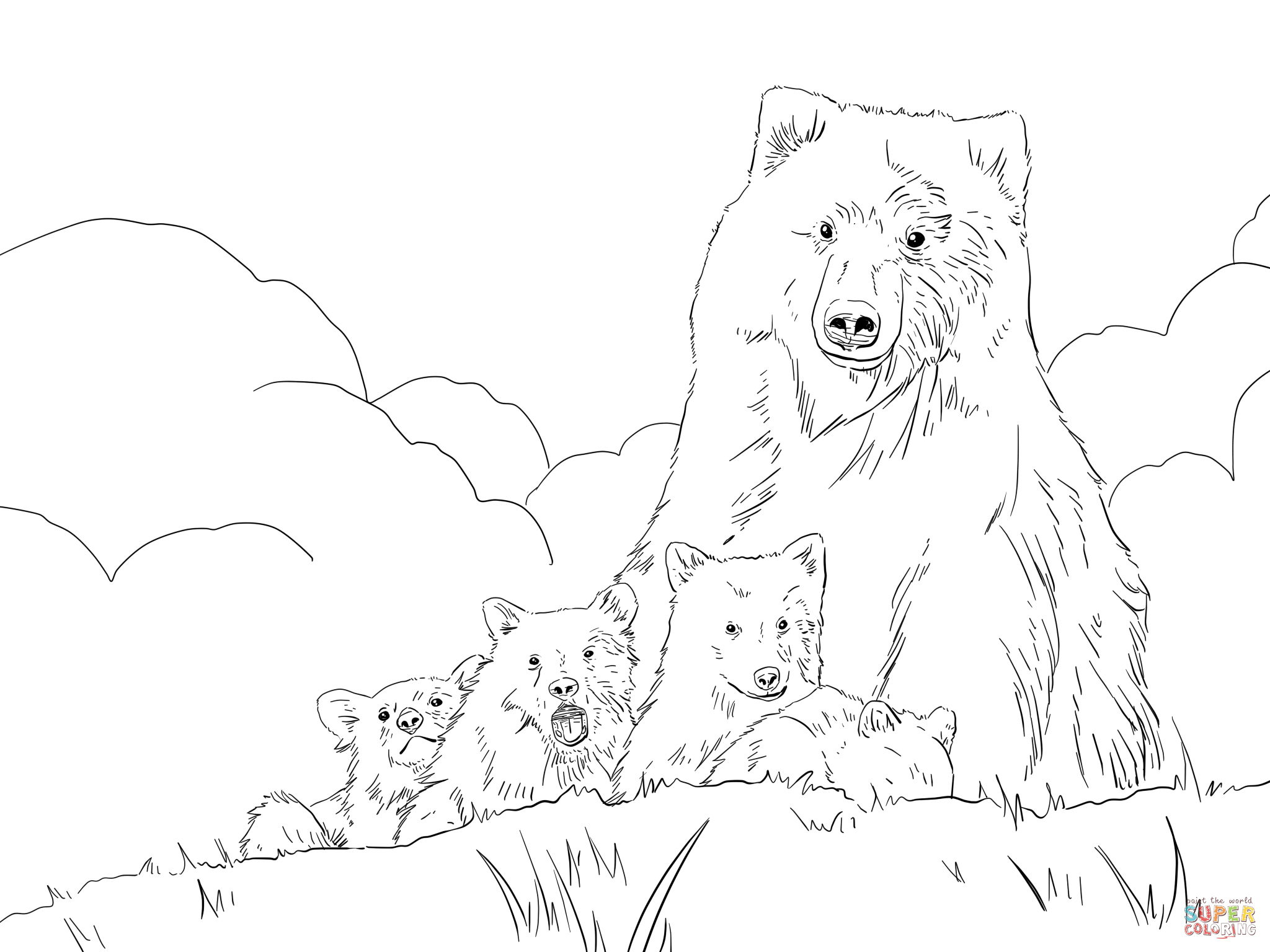 2048x1536 How To Draw A Detailed Grizzly Bear Step By Step