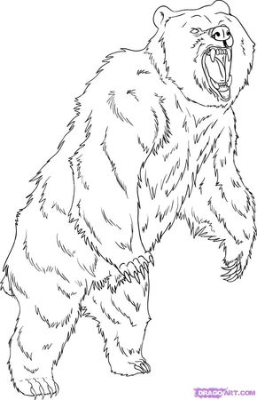 290x450 Grizzly Bear Coloring Pages How To Draw A Grizzly Bear, Step By
