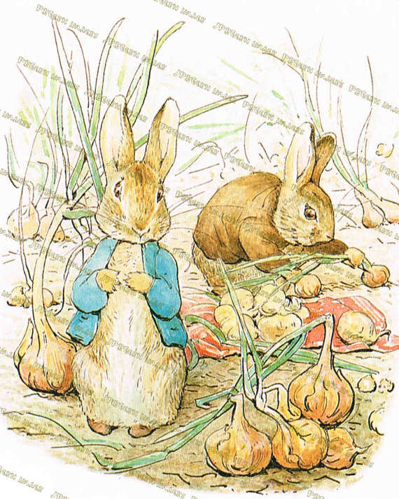 570x713 Peter Rabbit Nursery Decor Beatrix Potterrt Prints Rock