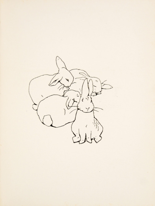 500x663 Peter Rabbit First Edition Illustration
