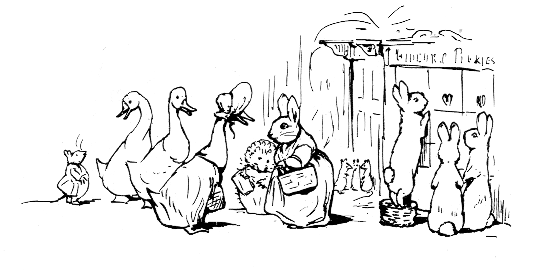 533x278 The Tale Of Ginger And Pickles