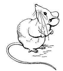 212x238 How To Draw Beatrix Potter Characters