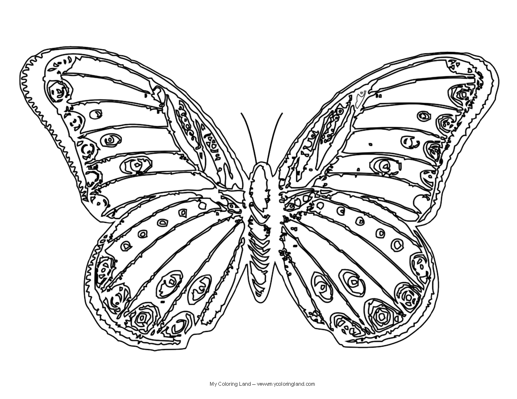 1056x816 Beautiful Sketch Of Butterfly Beautiful Butterfly Drawing