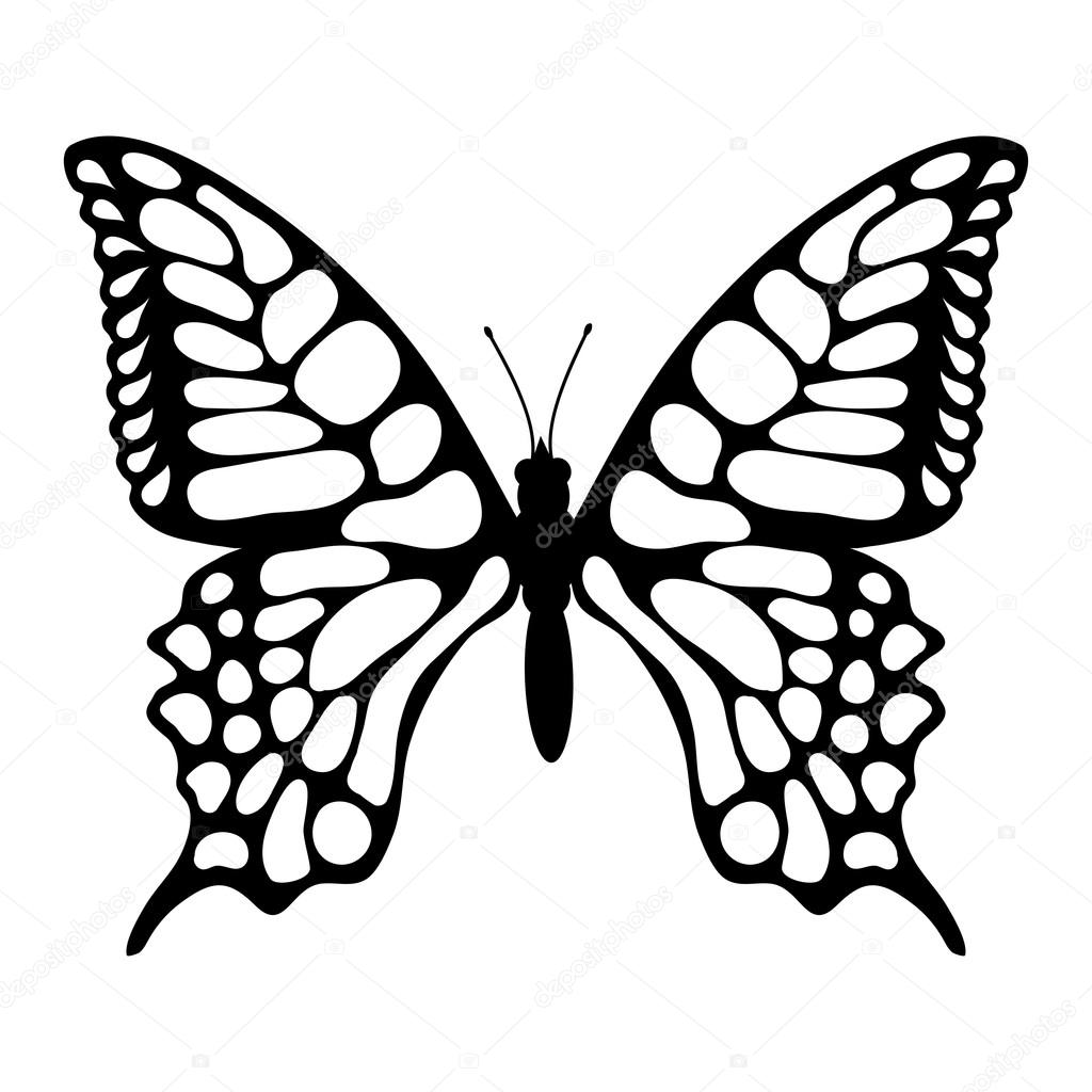 1024x1024 Beautiful Butterfly Illustration Stock Vector Korniakovstock