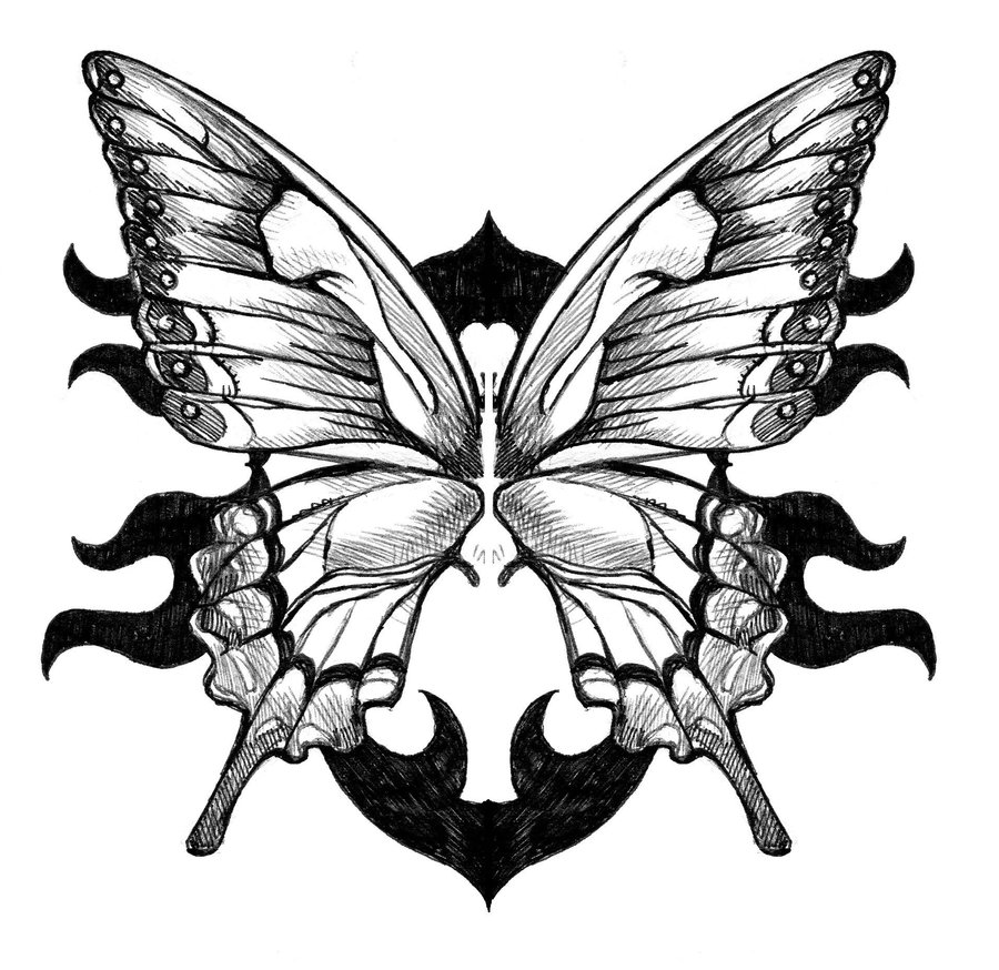 900x874 Large Hand Drawn Butterfly Butterfly Wings Tattoo By Gitoku