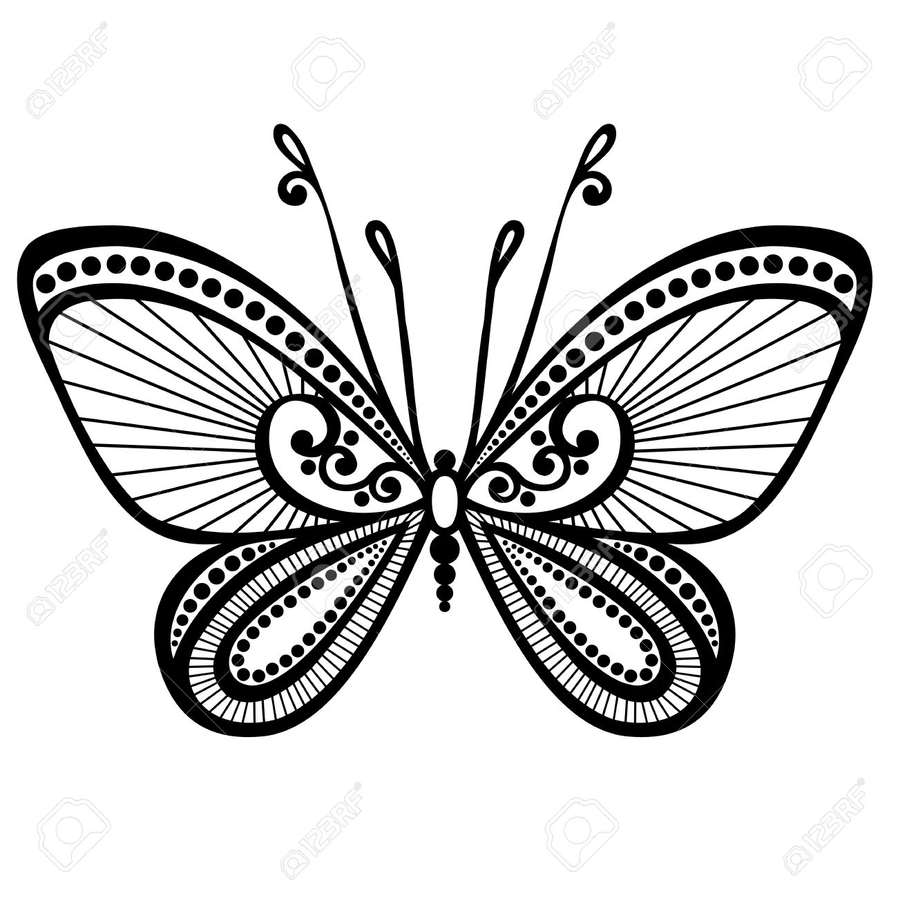 1300x1300 Vector Beautiful Butterfly, Exotic Insect Patterned Design