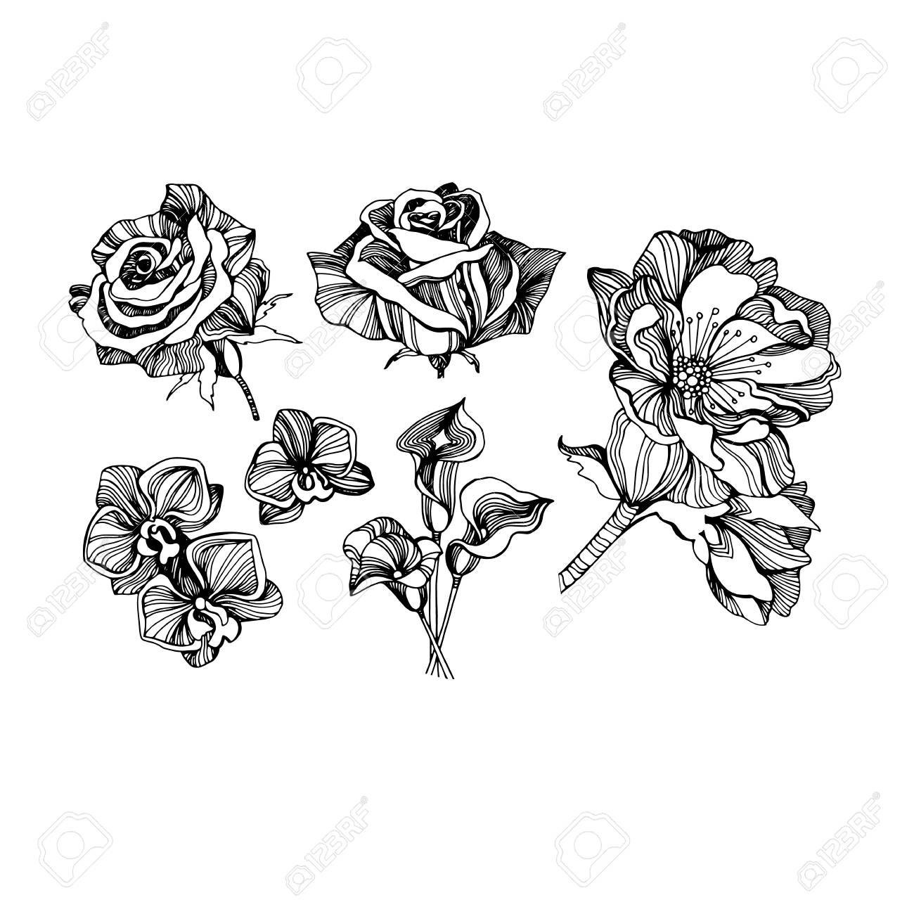 1300x1300 Color Set, Collection, Drawings, Sketches, Beautiful Flowers