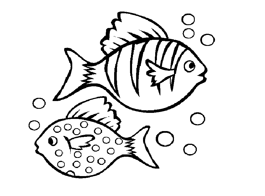 917x679 Colour Drawing Free Wallpaper Beautiful Fishes Coloring Drawing